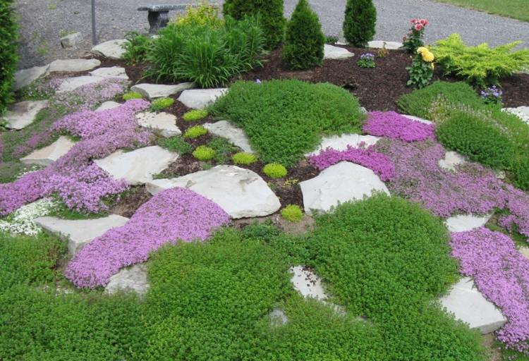 garden rock garden green plants