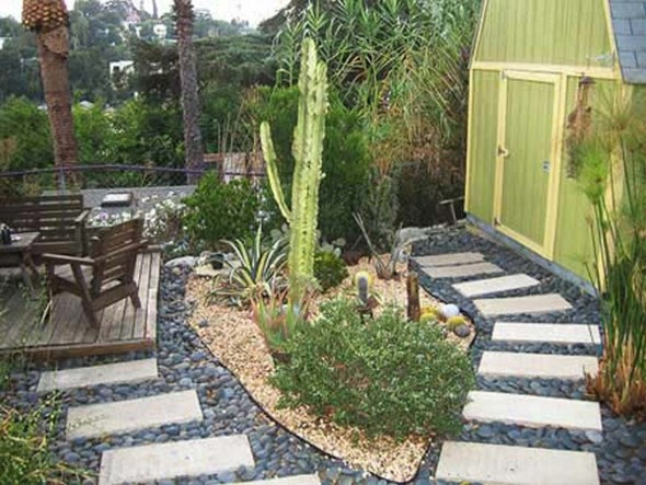 garden rockery exotic plants