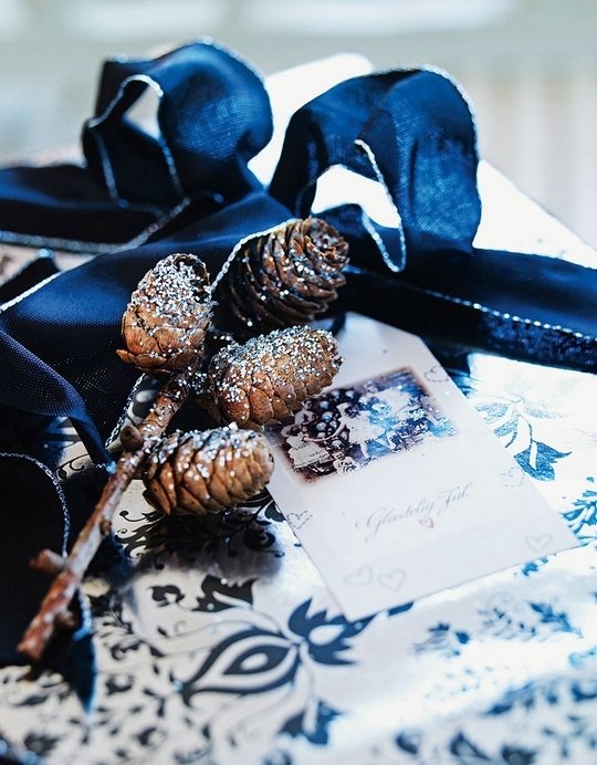 Christmas ribbon blue pine cones combination