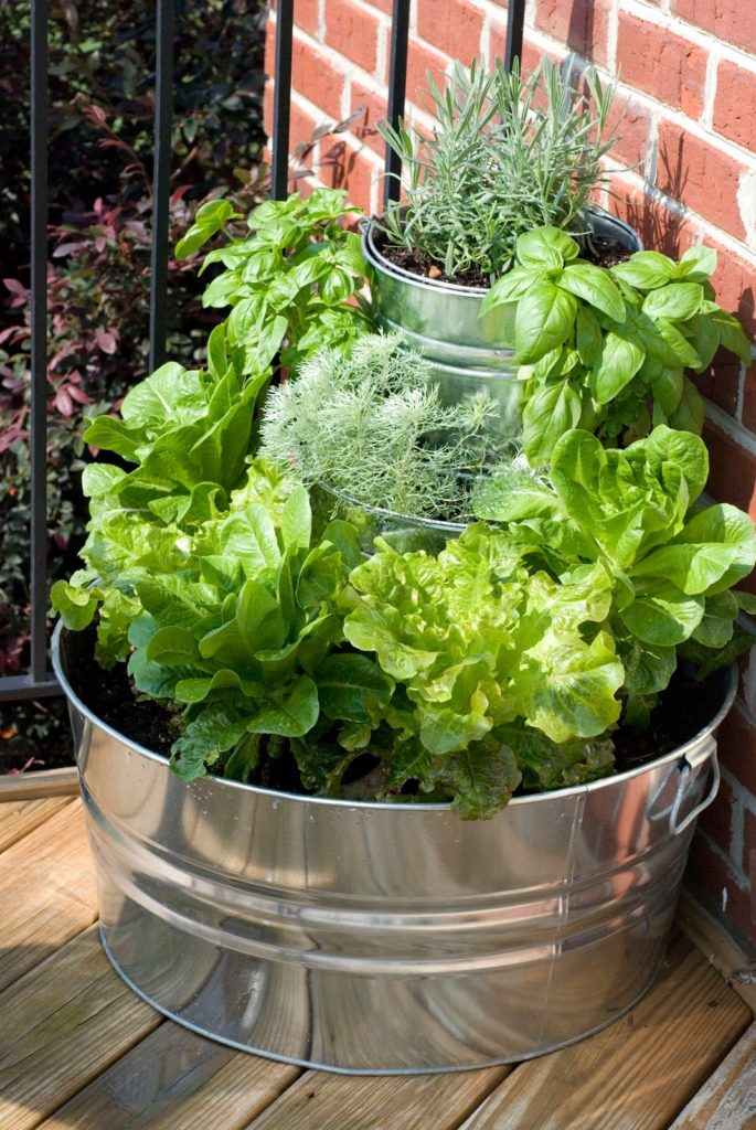 vegetable salad idea arrange outdoor terrace space