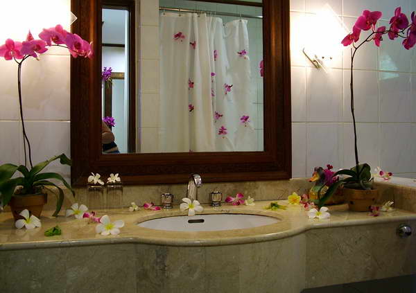 bath room decor orchids