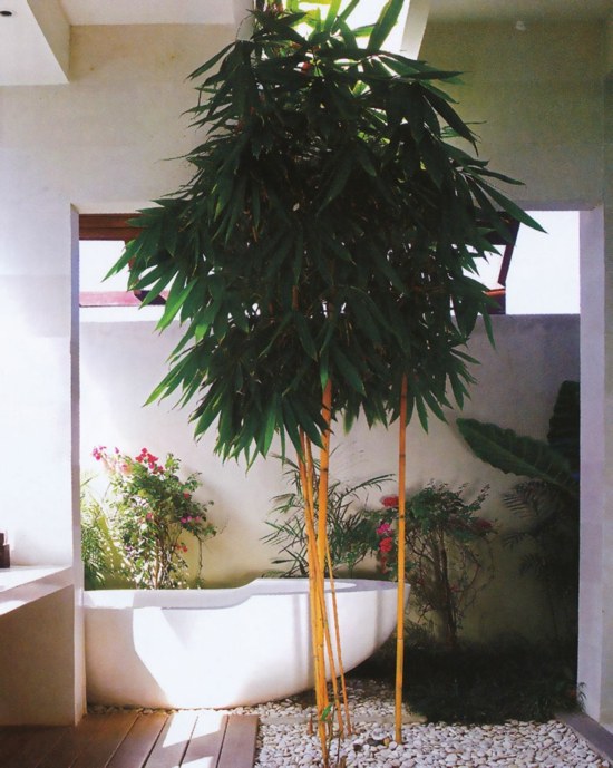 indoor bathroom garden