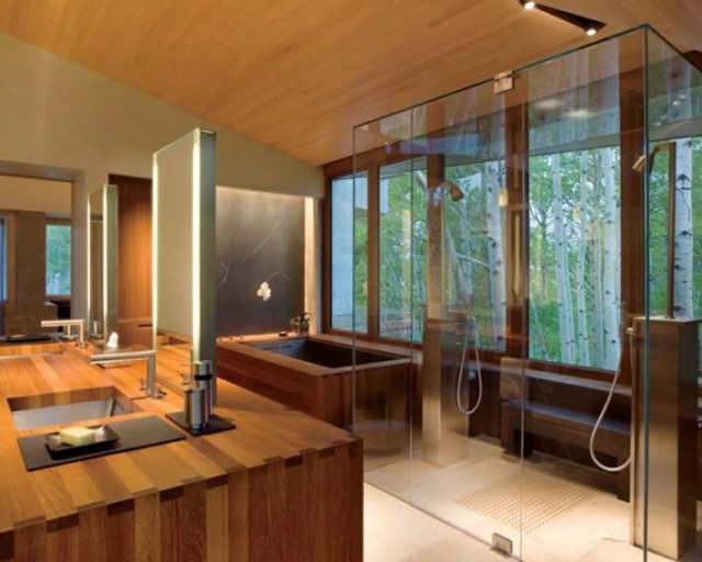 bathroom Zen design wood glass