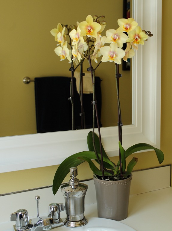 yellow bath room yellow orchidee decoration