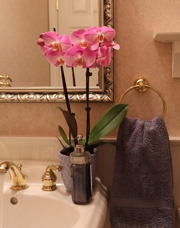 pink gold orchid bathroom