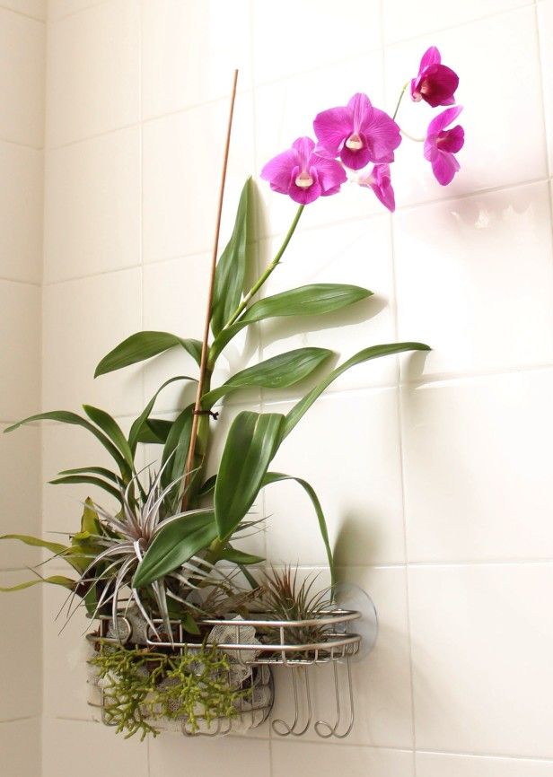 bath room orchidee impeccable floral decoration