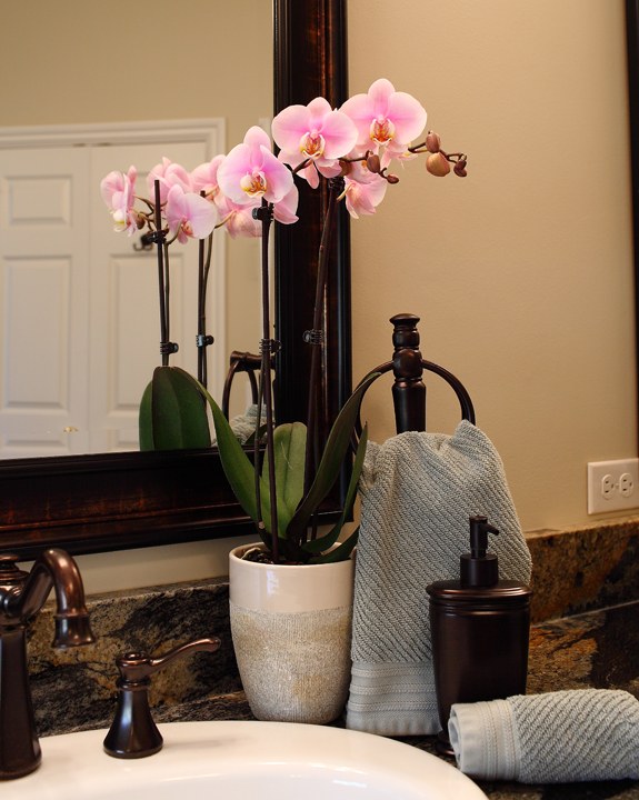 pink orchid bathroom
