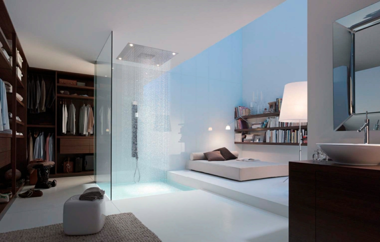 bathroom in shower room