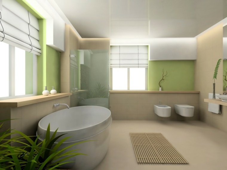 interior modern toilet deco bathtub