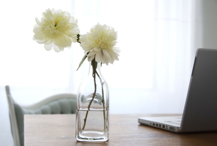 living room feng shui idee accessories plants and fresh flowers