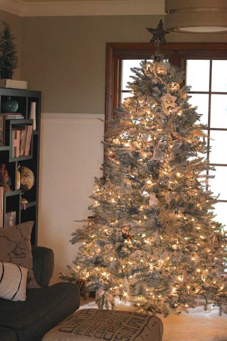 flocked fir snow-covered bathed light