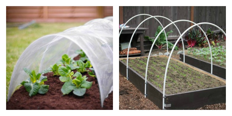 mini greenhouses tarpaulin and bows