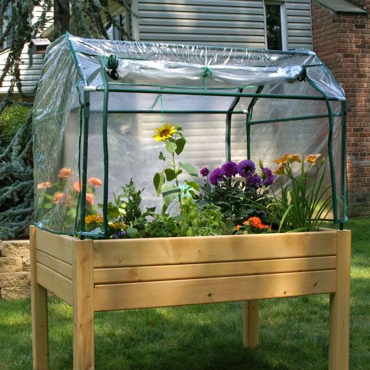 vegetable garden greenhouse outdoor manual activity