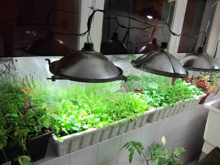 lighting greenhouse garden interior idea fitting