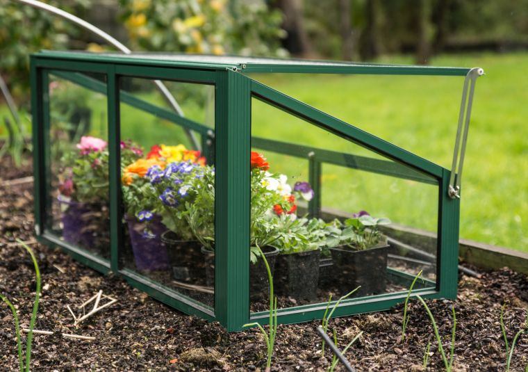 garden greenhouse outdoor flowers in pots