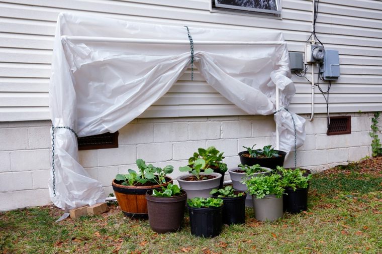 functional greenhouse idea flower pots project diy