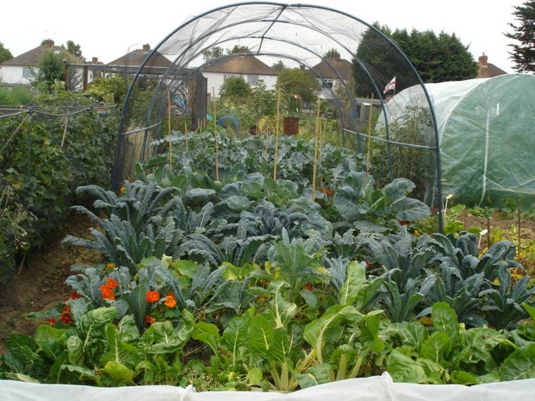 vegetable tent ideas greenhouses with bows