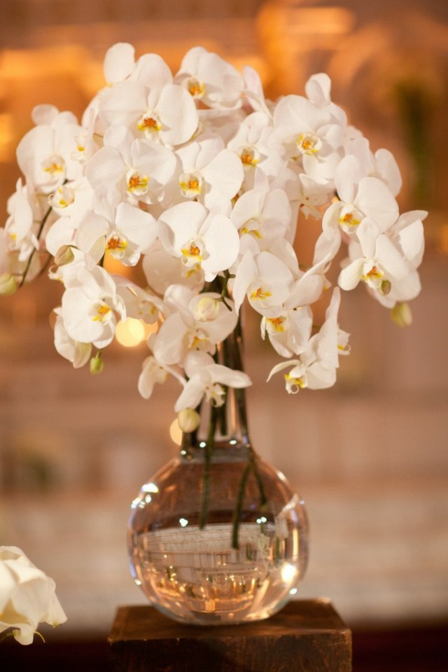 simple white orchids bouquet