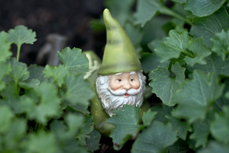 dwarf green hat white beard