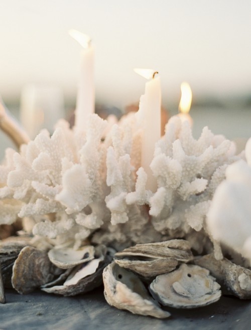 sublime centerpiece østers coral candle holder