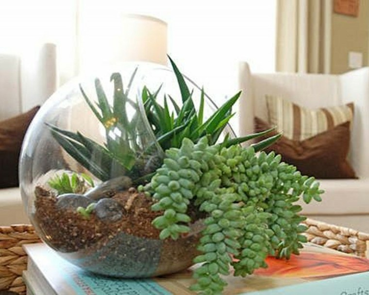 beautiful terrarium decor