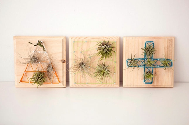 beautiful paintings string art and plants girls of l'air