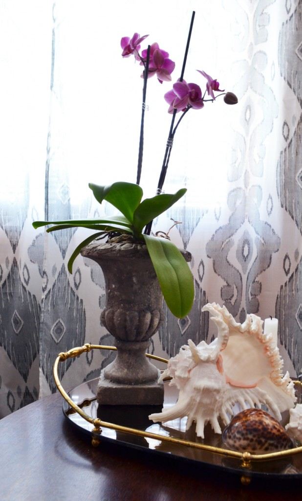 coffee table decoration orchidee marine cociage