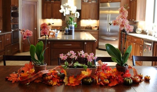 table eating composition orchids decorated leaves autumn