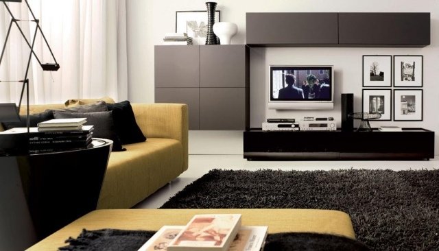 black long hair rug contemporary living room