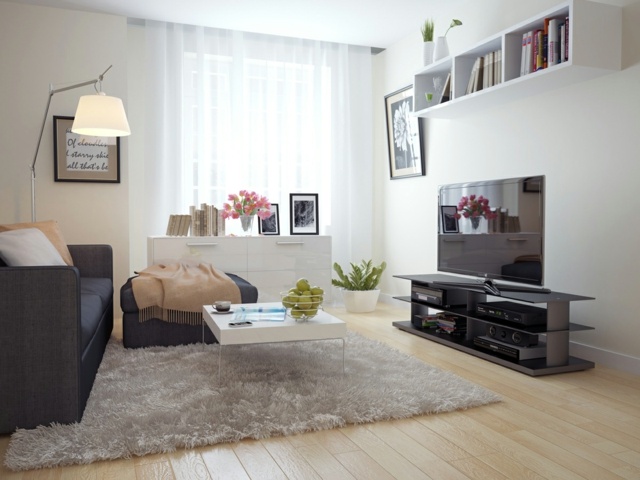 neutral color living room rug