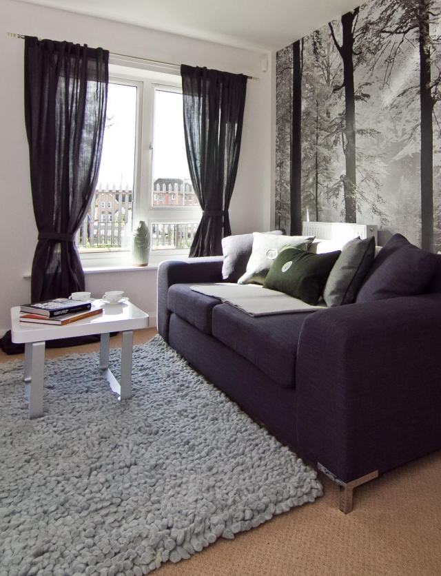 modern living room rug gray dark blue sofa