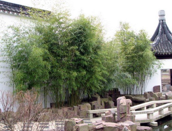 traditional japanese temple