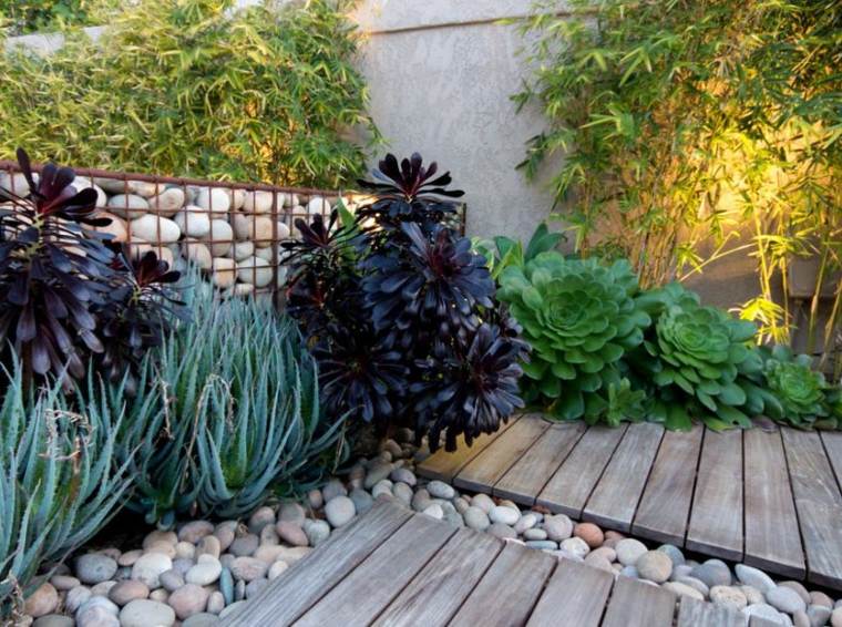 trend gabion deco stone garden malignant succulents