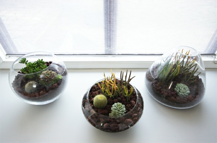 terrarium decorative idea indoor DIY terrarium