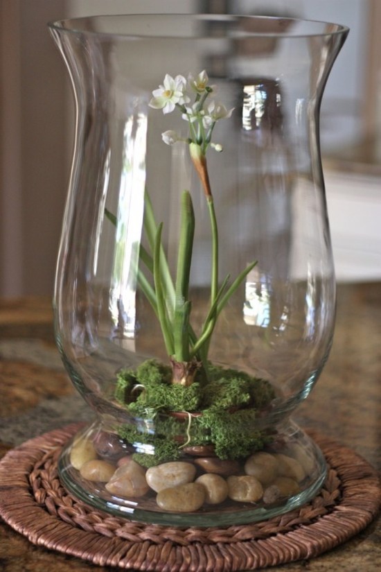 terrarium pebbles bowl