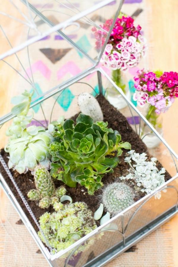 terrarium center bord saftiga växtlåda