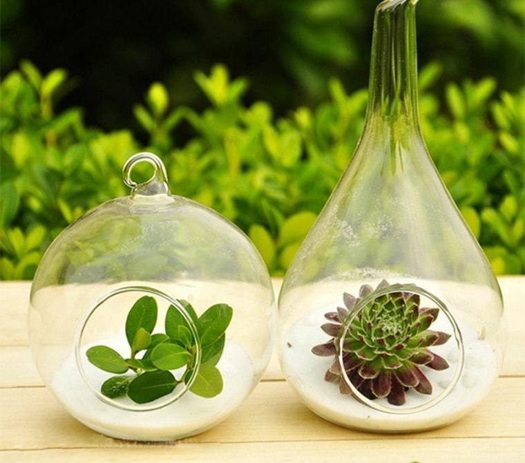 rumah teres terrarium taman mini kecil