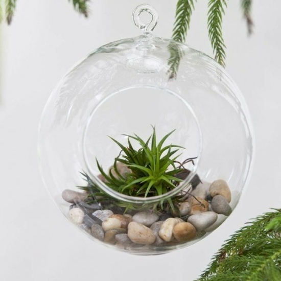 suspended spring terrarium