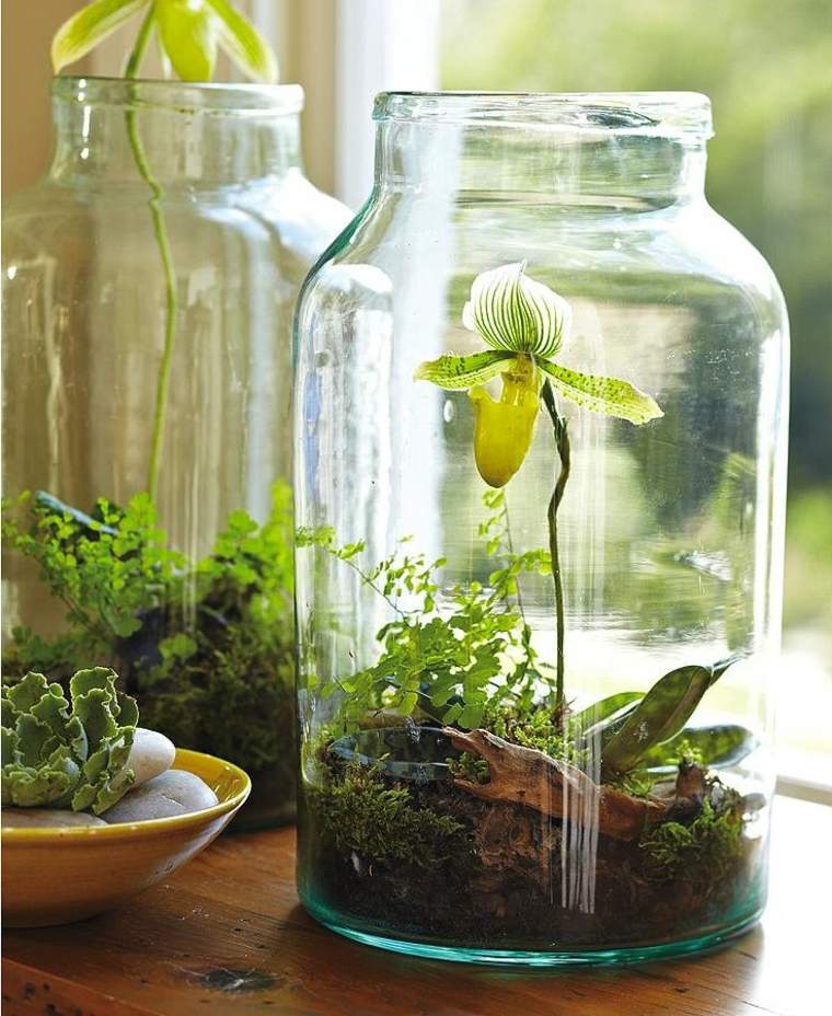 terrarium glas hus dekoration