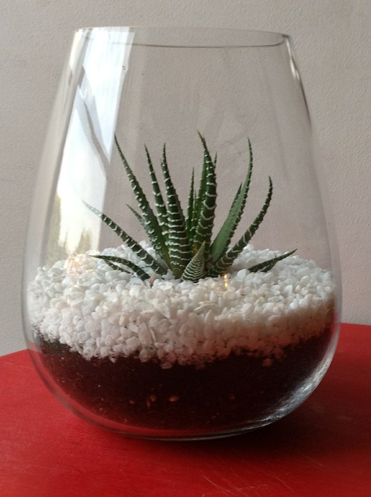 planter terrarium hjem deco idé