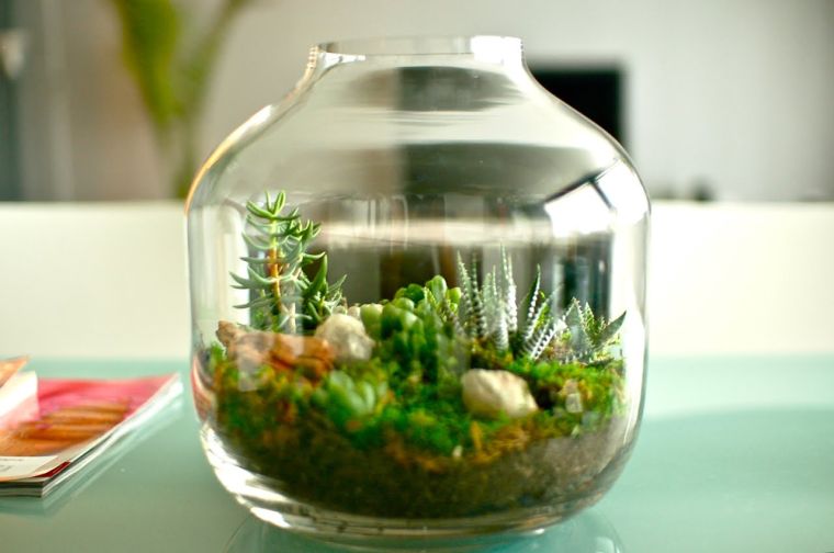 terrarium decoration inner jar