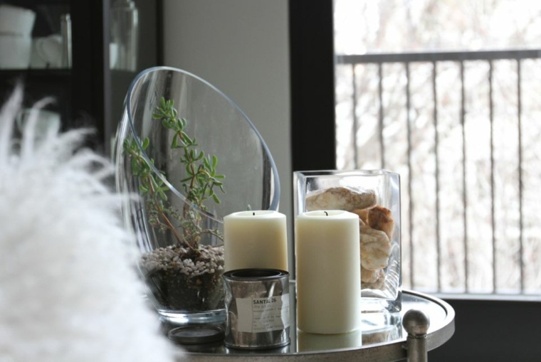 interior decorating ideas plants glass