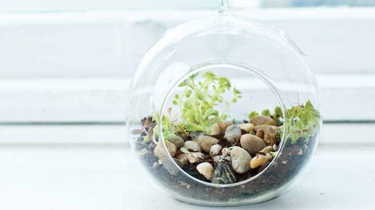 dekorative terrarium glas diy idé