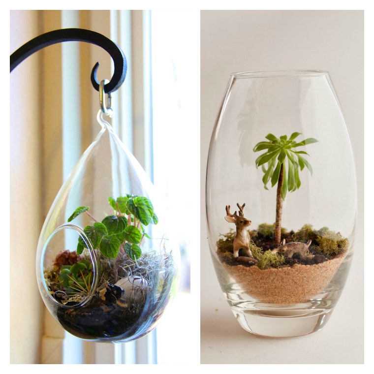 decorate indoor terrarium glasses