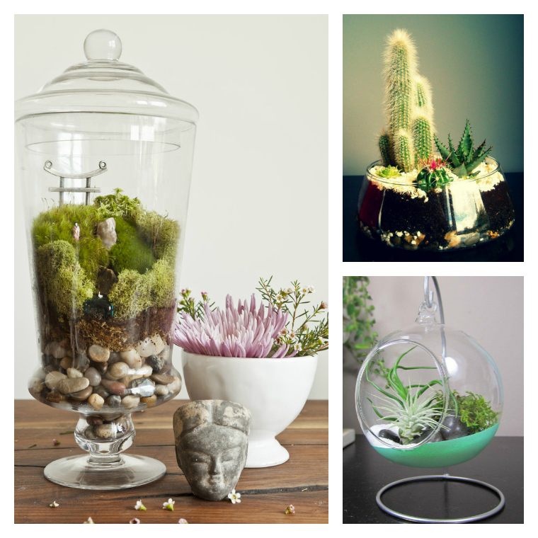 to make glass terrariums oneself