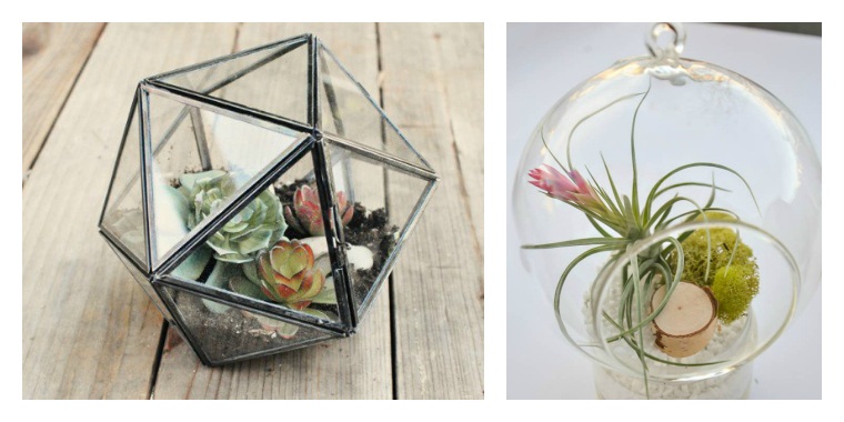 terrarium decorations do it yourself