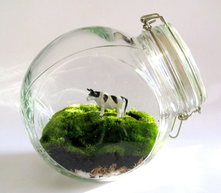 terrarium jars to make at home