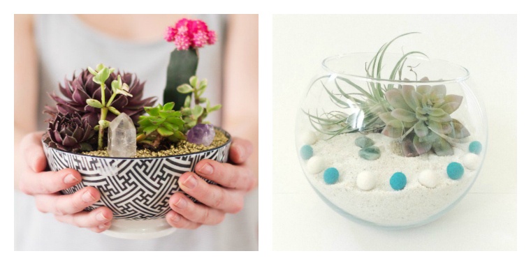 create terrarium in glass bowl