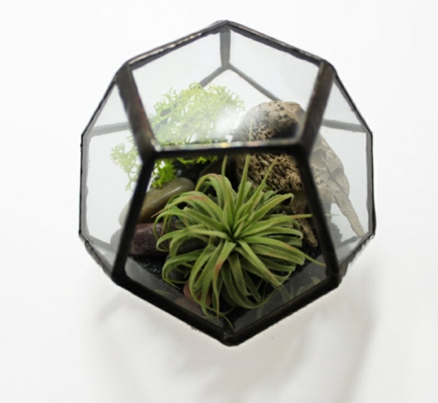 Glass Geodetic Terrarium by Glimpse Glass