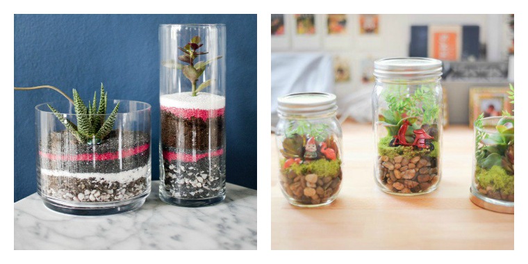 how to decorate house with terrariums